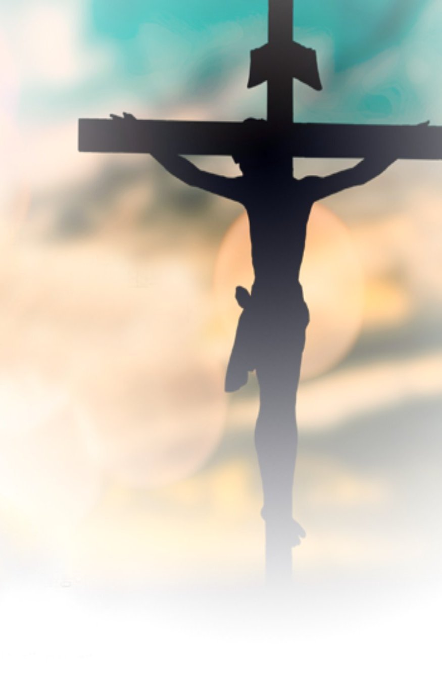 한국교회봉사단은