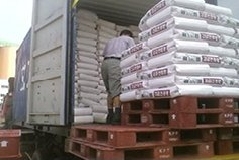 북한 영양지원 2